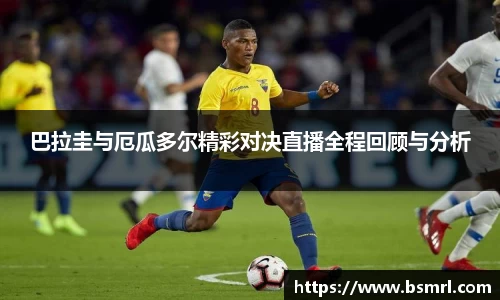 HB火博首页